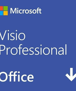 Microsoft Visio Professional 2024(最新 永続版)|オンラインコード版|Windows11、10|PC1台