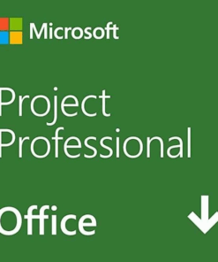 Microsoft Project Professional 2019 永続版|ダウンロード|Windows10|WIndows 11|1台用