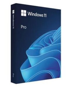 マイクロソフト　Ｗｉｎｄｏｗｓ　１１　Ｐｒｏ　６４ｂｉｔ　ＵＳＢフラッシュドライブ　１本
